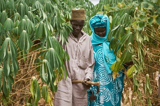 Partnerships That Make a Difference: Showery x Trees for the Future - Showery UK