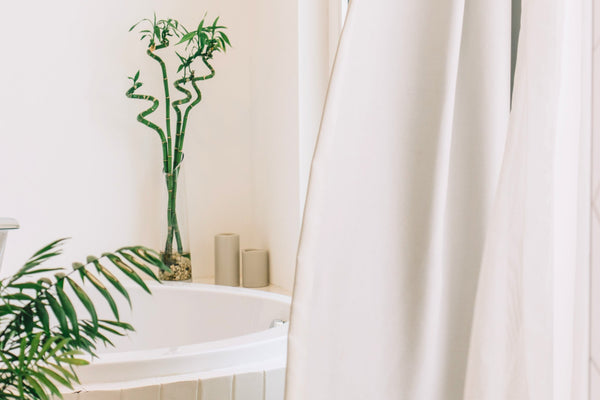 5 Tips for Keeping Your Shower Clean and Hygienic