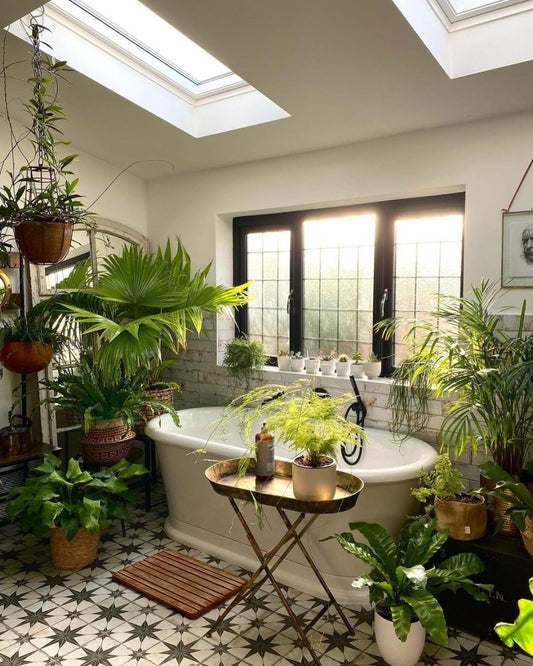 Eco-friendly Bathroom Products Maintenance Tips - Showery UK